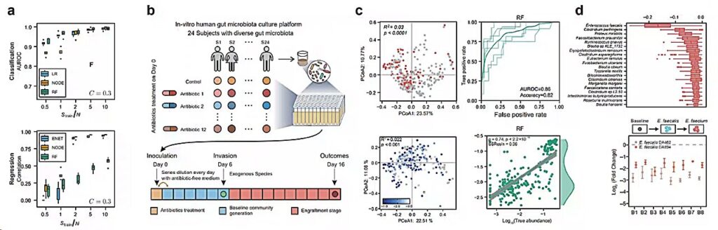 Predicting Microbial Community Colonization With Machine Learning