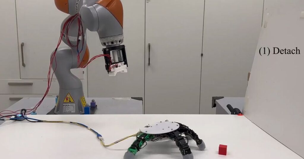 Versatile Robot Arm With Detachable Hand For Easy Grasping