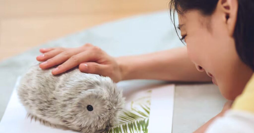 Cuddle Up With Casio's Comforting Furry Robot