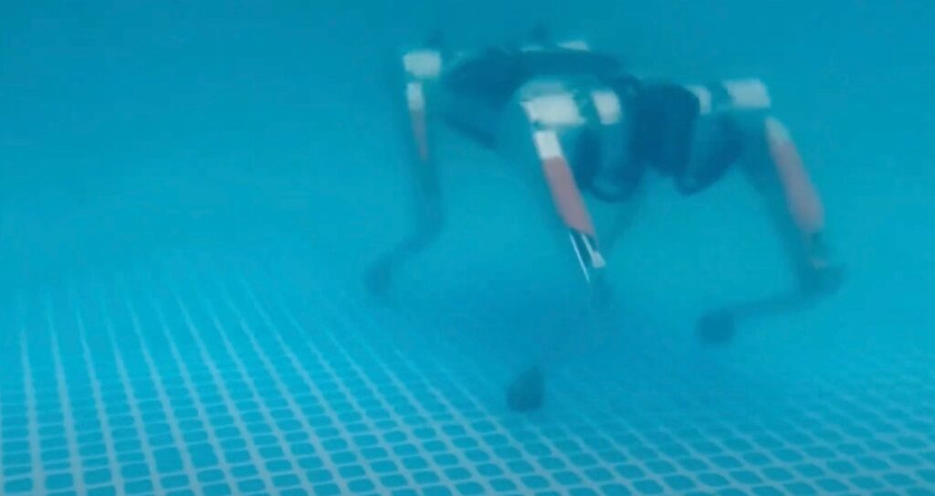 Robot Dog Dives Into Adventure Underwater