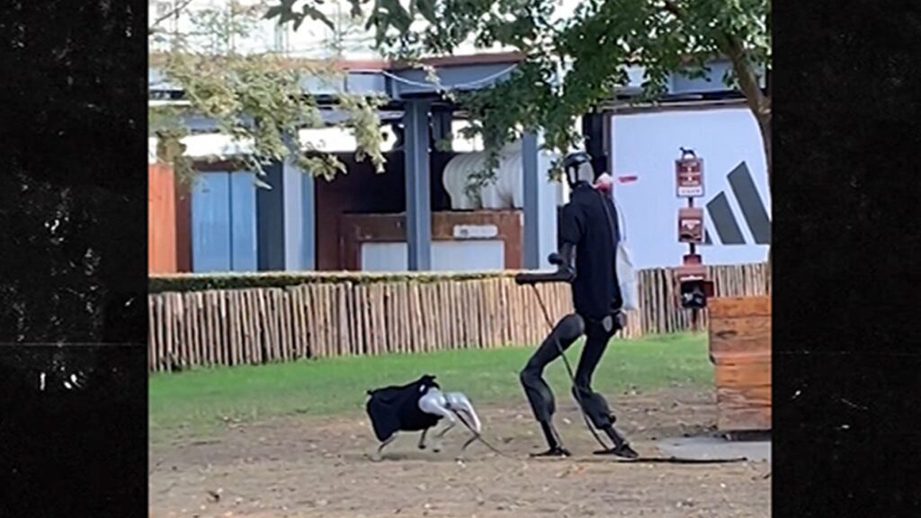 Humanoid Robot Takes A Stroll With Robot Dog In Chinese