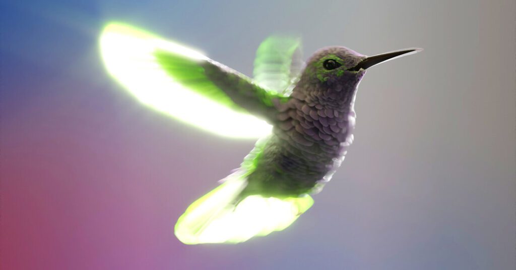 Hummingbirds Inspire Innovations In Drone Technology