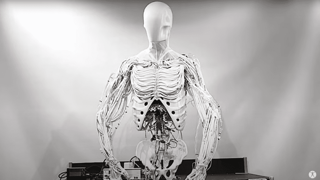 Terrifying Robotic Torso Comes To Life