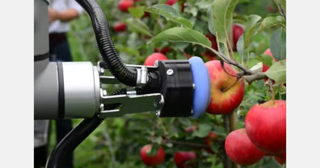 Exploring The Munckhof Picking Robot At Proeftuin Randwijk