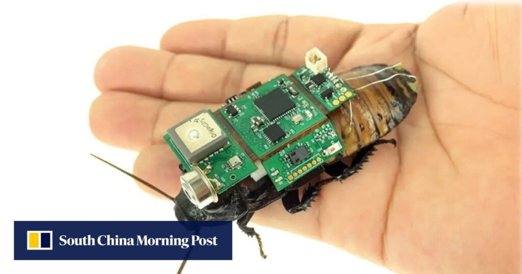 Mass Production Of Cyborg Cockroaches In Robotic Factories