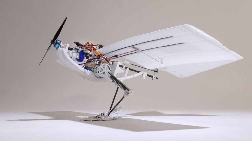 Meet The Charming Bird Inspired Robot That Could Revolutionize Drone Takeoff