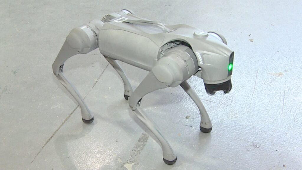 Photon The Robot Dog Enhances Building Solutions In Manitoba