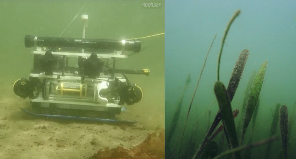 Revolutionizing Ocean Restoration With The Grasshopper Robot