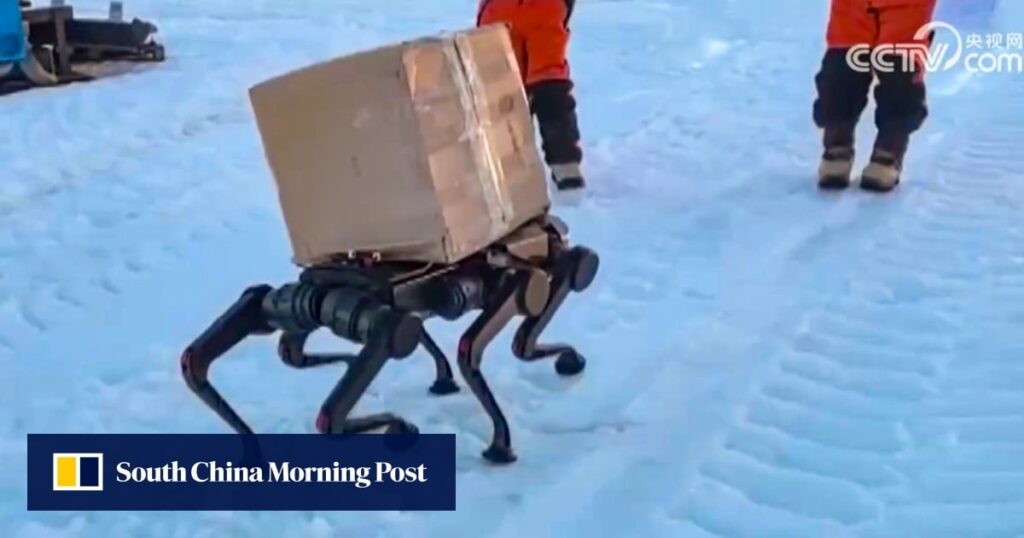 Robot Dog Joins China’s Antarctic Expedition For A Helping Paw