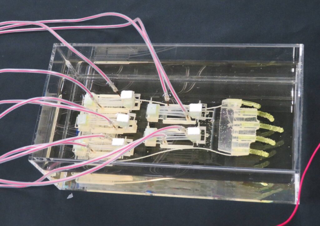 Groundbreaking Biohybrid Robot Hand Takes Innovation To New Heights